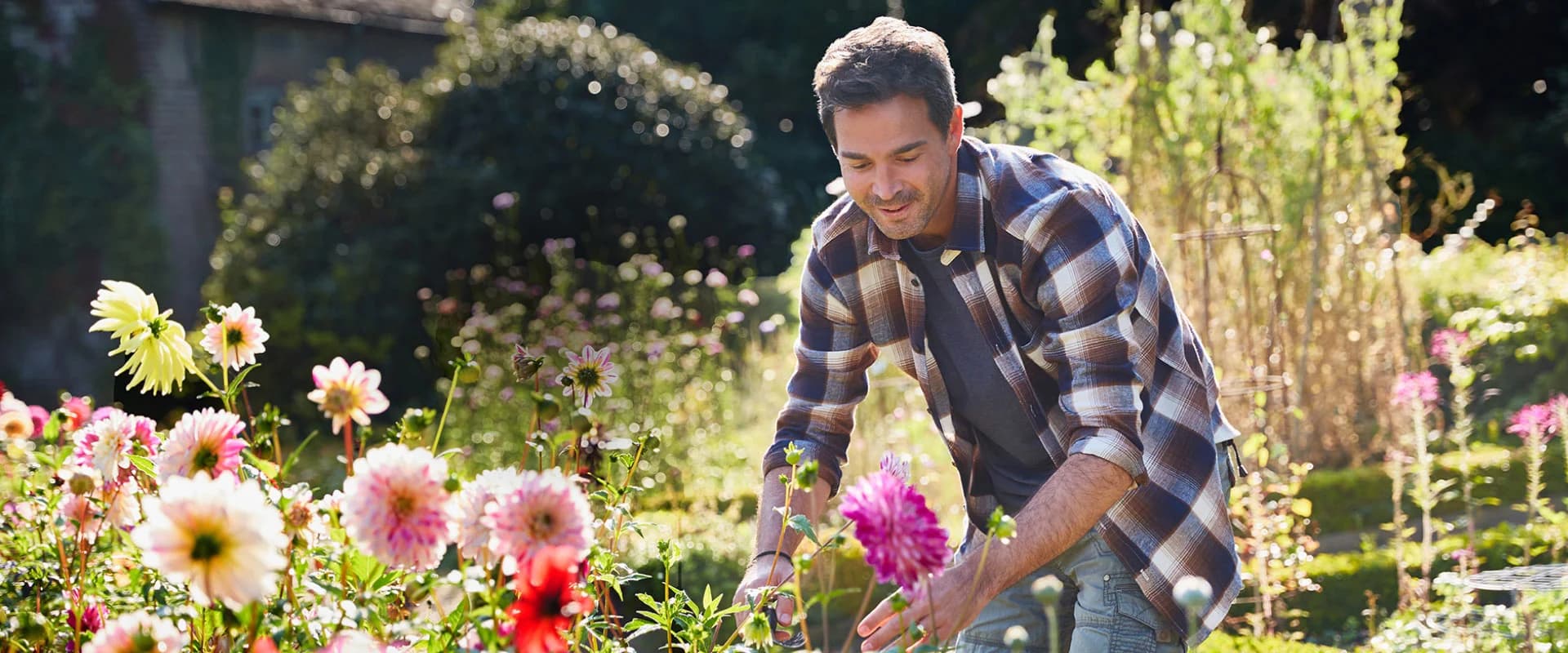 Gartenpflege mit Gardify