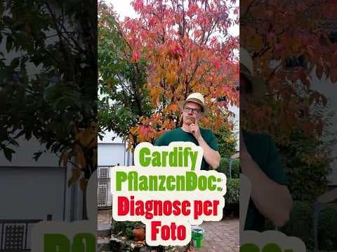 Gardify Pflanzendoc: Baum halb Herbst, halb Sommer – Was ist hier passiert? Diagnose per Foto!