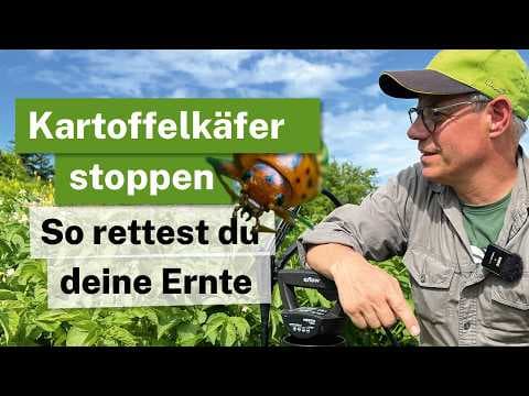 Kartoffelkäfer-Plage stoppen: Die biologische Niemöl-Rettung! 🥔🐛