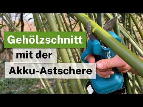 Akku-Astschere im Härtetest: Bambus vs. Profi-Werkzeug ✂️🔋