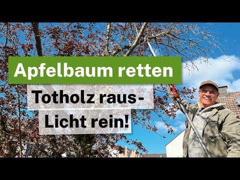 Apfel verjüngen: Totholz raus & Licht rein! 🍎✂️