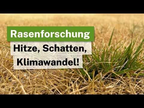 Rasenforschung - So entsteht deine Rasenmischung! 🎓🌱Für jeden Zweck die richtige Mischung!