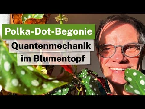 Polka-Dot-Begonie: Quantenmechanik im Blumentopf und leicht vermehrt🌿✨