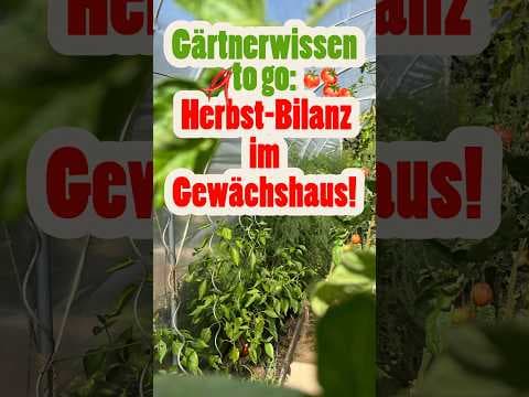 Herbst-Bilanz im Gewächshaus: Schädlinge stoppen &Nützlinge im Einsatz! (mit Gardify-Expertin Diana)