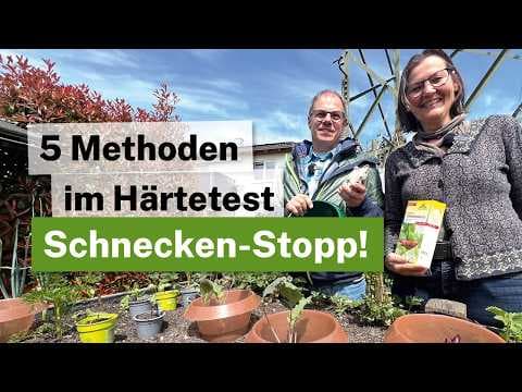 Schnecken bekämpfen: 5 Methoden im ehrlichen Profi-Check! 🐌🚫